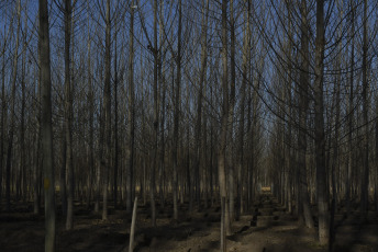 Mendoza, Argentina.- En las fotos tomadas el 12 de julio del 2023, muestra postales de la ciudad de Mendoza en medio de las vacaciones de invierno. La temporada de invierno promete buenos números para Argentina. Desde el Ministerio de Turismo estiman que se movilizarán 5,5 millones de personas alrededor del país que, junto con los extranjeros, sumarán un total de 7 millones de turistas.
