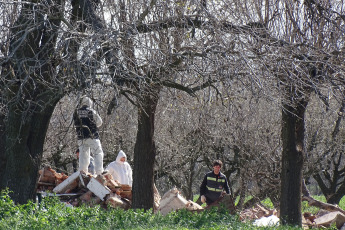 Buenos Aires, Argentina.- In the photos taken on August 25, 2023, experts from the Scientific Police, firefighters, and canine brigades carried out an inspection of a property in the Buenos Aires town of General Rodríguez to determine if an already demolished house was the place where the businessman Fernando Pérez Algaba was murdered, the merchant who was found dismembered in a suitcase in Ingeniero Budge, province of Buenos Aires. The crime was "premeditated, committed among several, with treachery and greed", considered the investigators of the Functional Instruction Unit (UFI) No. 5 of Lomas de Zamora, in charge of the case.