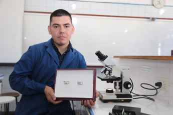 Tucumán, Argentina.- In the photos taken on September 27, 2023, after discovering some moth larvae in the patio of his house that caught his attention, the Bachelor of Genetics student Hernán Figueredo began work with the support of the Entomology Research of Misiones (PrEM) and the Miguel Lillo Entomology Institute of Tucumán, in which it was discovered that it was a new species of moth of the genus "Macaria".