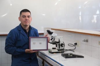 Tucumán, Argentina.- In the photos taken on September 27, 2023, after discovering some moth larvae in the patio of his house that caught his attention, the Bachelor of Genetics student Hernán Figueredo began work with the support of the Entomology Research of Misiones (PrEM) and the Miguel Lillo Entomology Institute of Tucumán, in which it was discovered that it was a new species of moth of the genus "Macaria".
