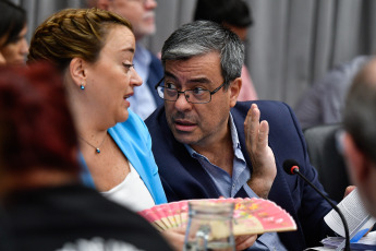 Buenos Aires.- In the photo taken on January 9, 2024, the plenary of committees of the Chamber of Deputies will debate the omnibus bill "Bases and Starting Points of the Freedom of Argentines" began at 14.30 and will be attended by officials of the Executive.