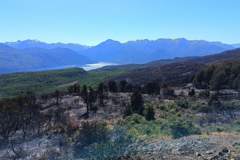 Patagonia, Argentina.- The photos taken on February 13, 2024 show the forest fire that affects the Los Alerces National Park. The fire in the Los Alerces National Park remains active with a total affected area of 8,205 hectares, it was reported. This catastrophe has mobilized 437 people to work on the operation.