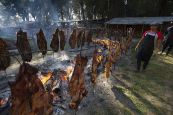 Chubut, Argentina.- In the photos taken on February 4, 2024, national and foreign tourists enjoyed the second day of the traditional National Asado Festival in the Chubut town of Cholila, where the sun, one of the best Argentine meats, the music and the joy of the people gathered around the celebration.