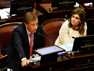 Buenos Aires, Argentina.- En la foto tomada el 14 de marzo de 2024, Ee Senado rechazó esta tarde la moción para postergar el tratamiento del megaDNU 70/2023 de reforma el Estado y quedó habilitado su debate para que se vote esta misma tarde. La moción de orden para postergar el debate, que fue presentada por el senador Ezequiel Atauche (La Libertad Avanza), fue rechazada por 41 votos en tanto que logró 30 votos positivos.
