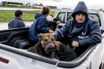 Son más de 3.000 las personas que han sido evacuadas en las últimas horas en distintos municipios del norte de la provincia de Buenos Aires, de manera preventiva ante el avance de las inundaciones tras las intensas lluvias ocurridas desde el jueves por la tarde.