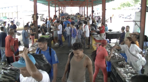 Puestos de venta de pescados en el Mercado Mayorista de Coche de Caracas